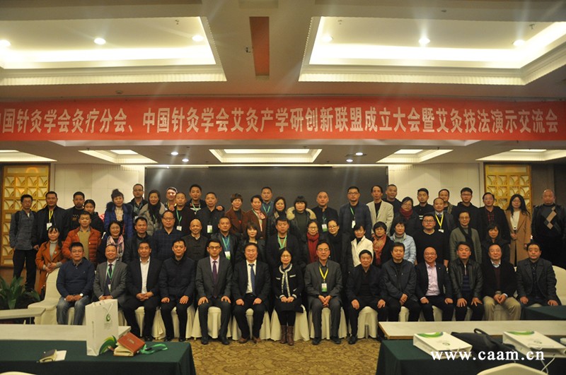 中国针灸学会艾灸产学研创新联盟成立2.jpg