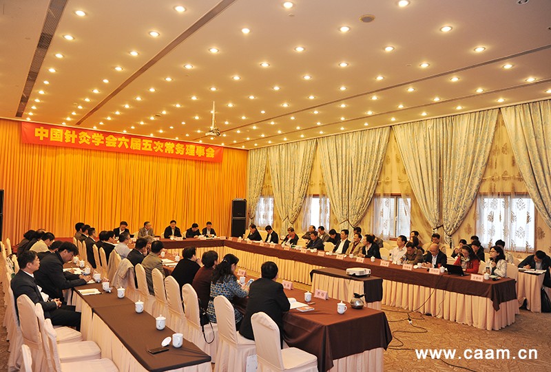 中国针灸学会六届五次常务理事会在杭州召开4.jpg