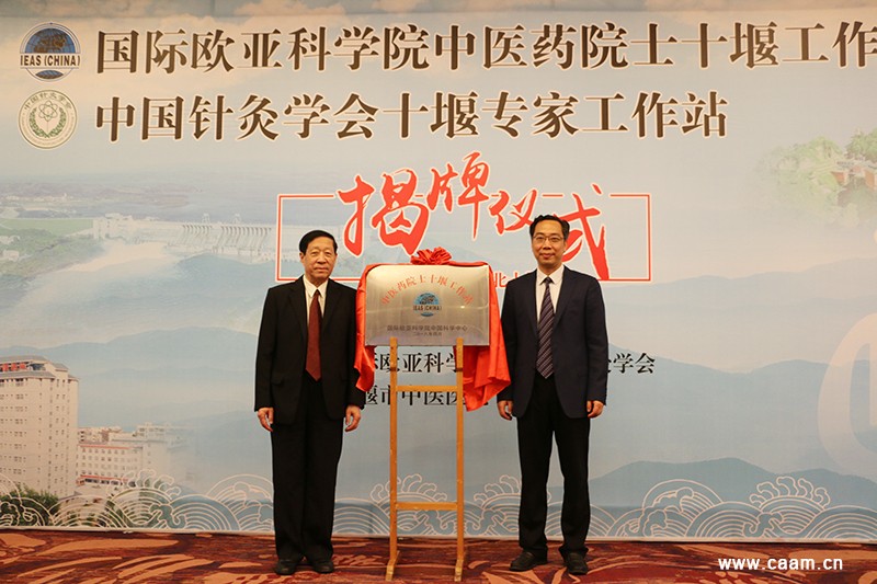 国际欧亚科学院中医药院士十堰工作站,中国针灸学会十堰专家工作站