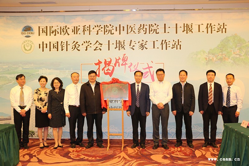 国际欧亚科学院中医药院士十堰工作站,中国针灸学会十堰专家工作站