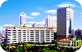 上海岳阳.jpg