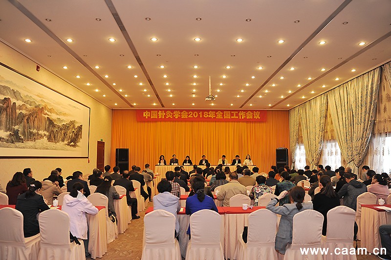 中国针灸学会2018年全国工作会议在杭州召开4.jpg