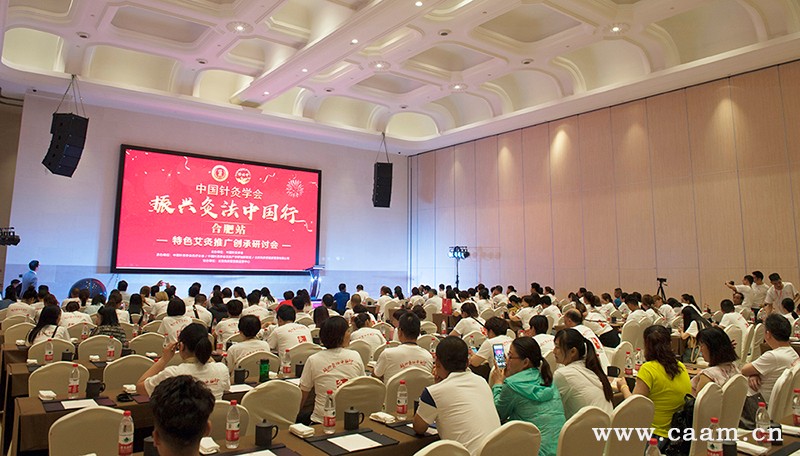 “振兴灸法中国行”活动第二站—安徽合肥特色艾灸创承研讨会2.jpg