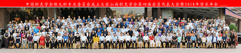 中国针灸学会新九针专业委员会成立大会暨2018年学术年会在太原隆重举行8.jpg