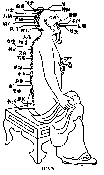 十四正经----督脉.gif