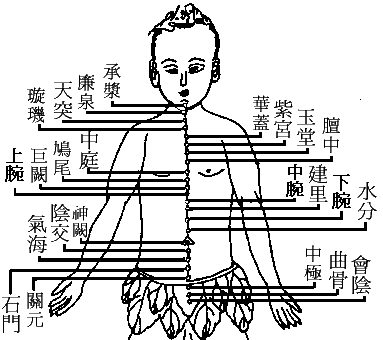 十四正经----任脉.gif