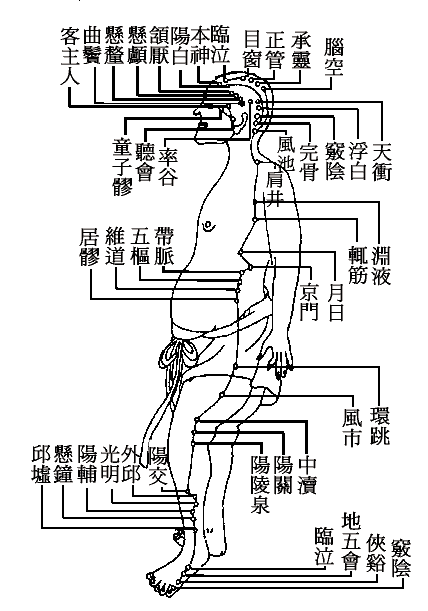 十四正经----胆经.gif