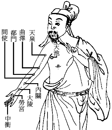 十四正经----三焦经.gif