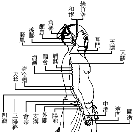 十四正经----心包经.gif