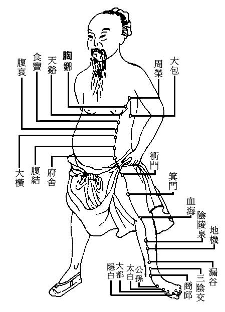 十四正经----脾经.gif