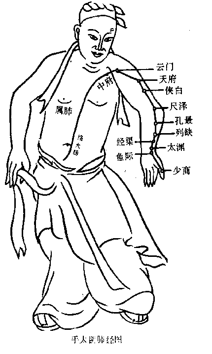 十四正经----肺经.gif