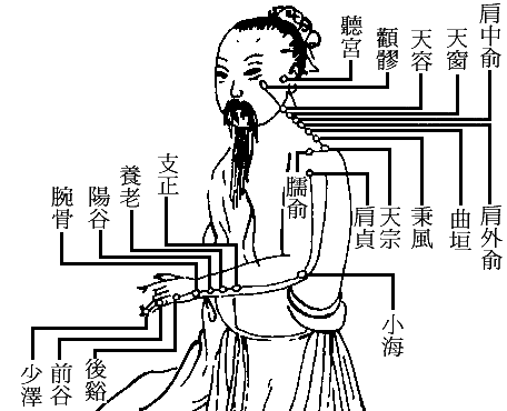 十四正经----小肠经.gif