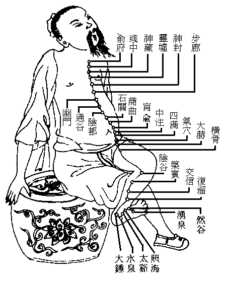 十四正经----肾经.gif