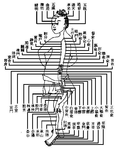 十四正经----膀胱经.gif