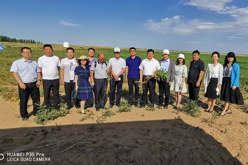 8.专家团考察中药种植基地.jpg