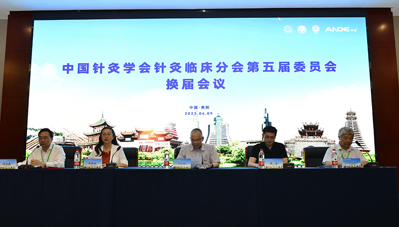 临床分会第五届委员会换届会议现场(1).jpg