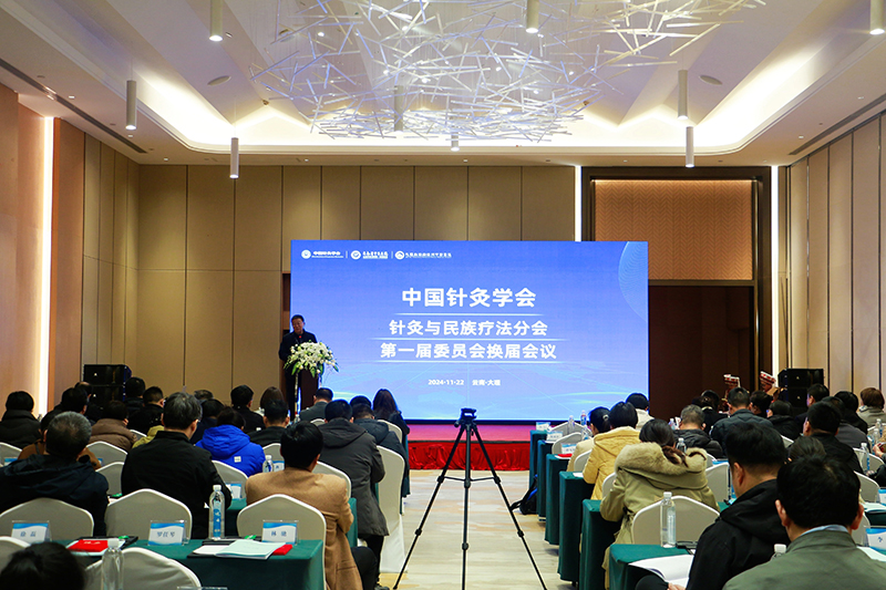 1中国针灸学会针灸与民族疗法分会第一届委员会换届会议现场.jpg